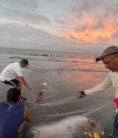 Portada de «La pesca y la vida»